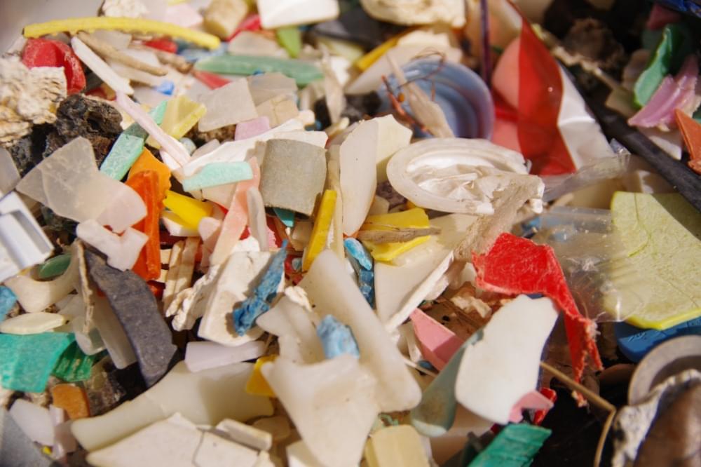 廃プラスチック類